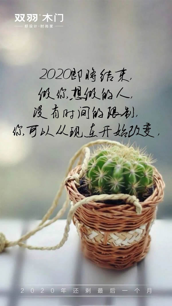 双羽木门 | 2020年最后一月再拼一把